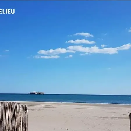 Apartment 4 Pers, Centre Port Agde, Proche Commerces Et Plage, Securisee, Animaux Acceptes - Fr-1-749-33