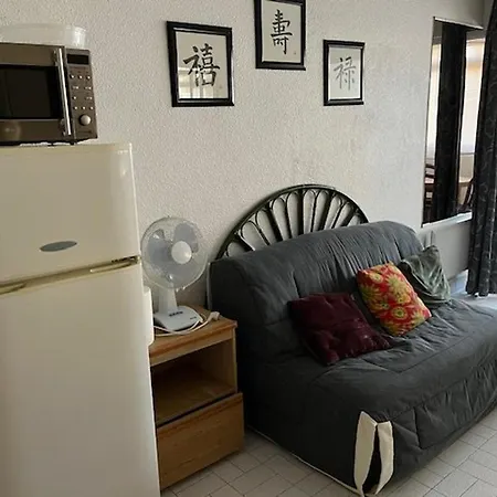 4 Pers, Centre Port Agde, Proche Commerces Et Plage, Securisee, Animaux Acceptes - Fr-1-749-33 Apartment