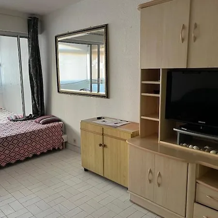 4 Pers, Centre Port Agde, Proche Commerces Et Plage, Securisee, Animaux Acceptes - Fr-1-749-33 Apartamento