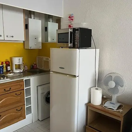 4 Pers, Centre Port Agde, Proche Commerces Et Plage, Securisee, Animaux Acceptes - Fr-1-749-33 *