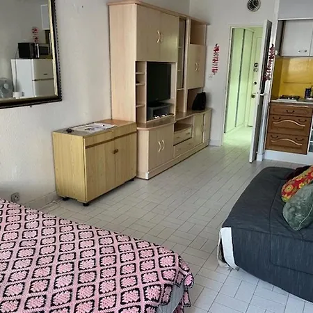 4 Pers, Centre Port Agde, Proche Commerces Et Plage, Securisee, Animaux Acceptes - Fr-1-749-33 * Agde